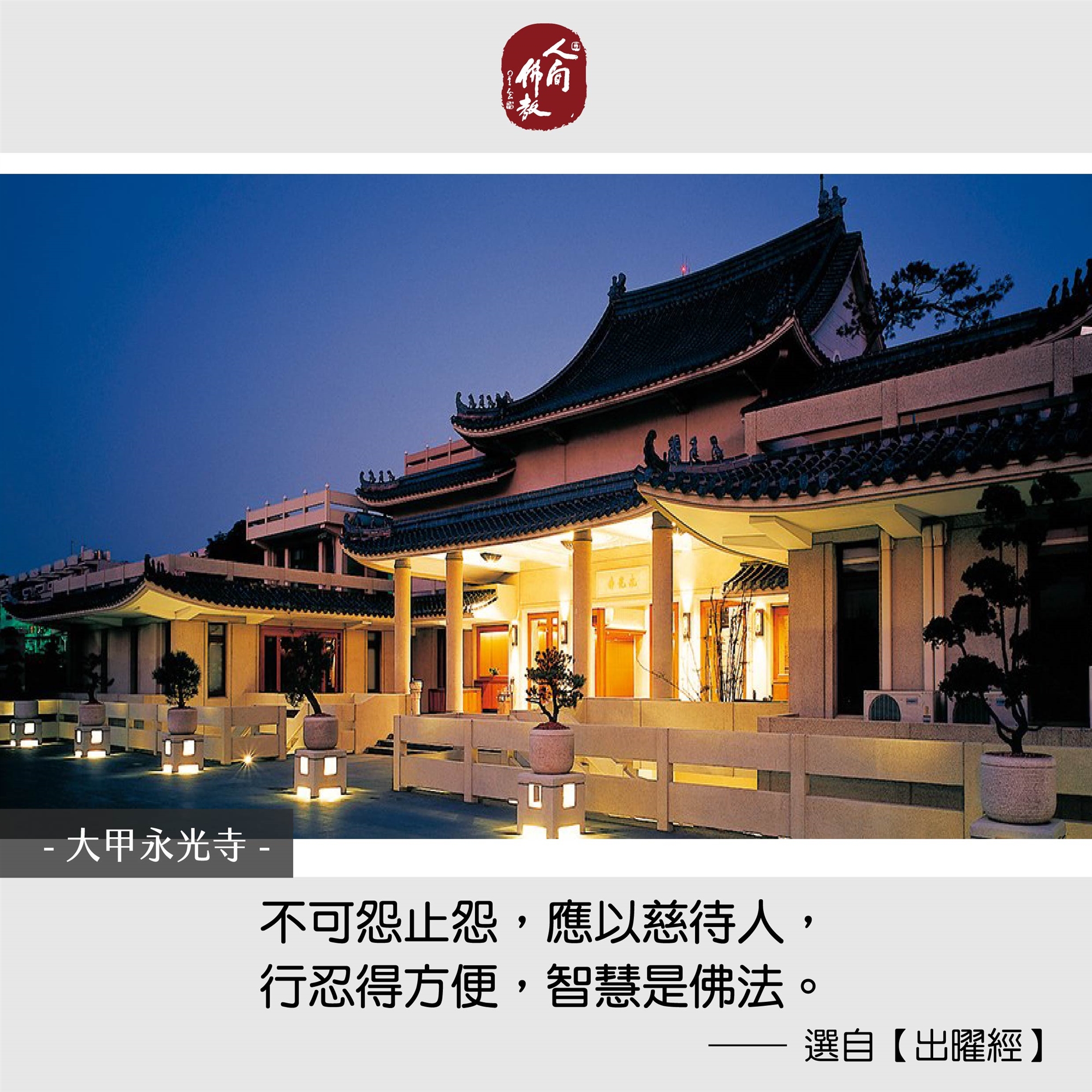 2024.11月每日圖卡
